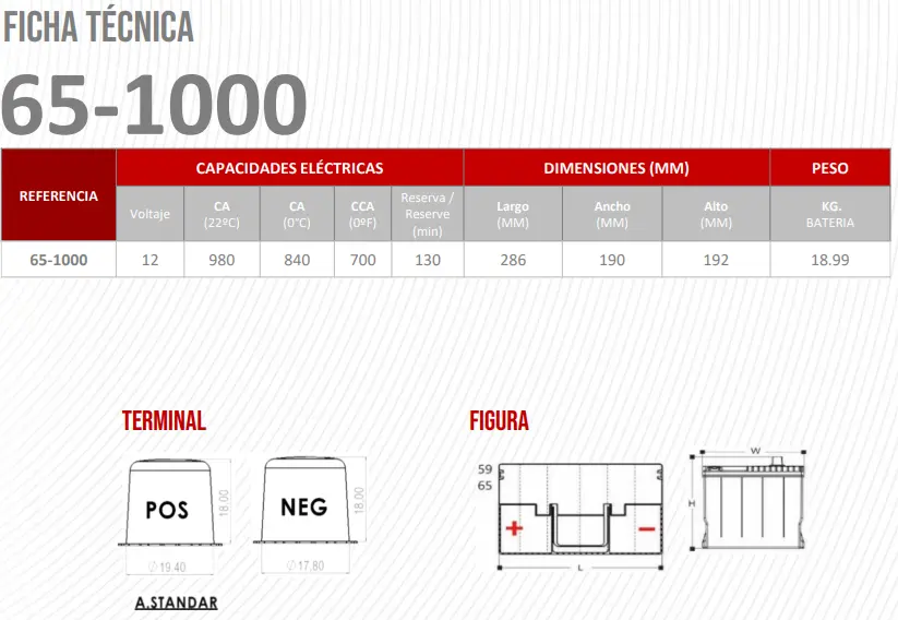 65-1000+1.webp
