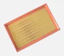 FILTRO AIRE CHANGAN CS55 1.5 18-
