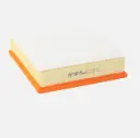 FILTRO AIRE FOTON TOANO 19-