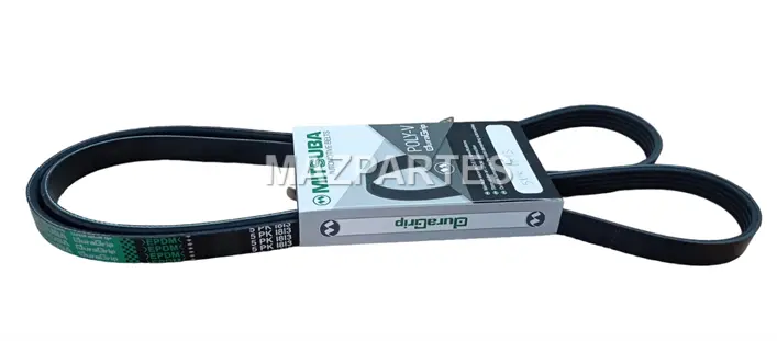BANDA ACCESORIOS ACANALADA MULTIMARCA
